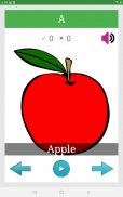 Learn English Basics screenshot 15