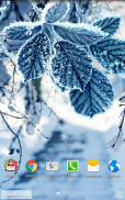 Winter Live Wallpaper screenshot 8