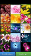 Flowers HD Wallpapers screenshot 2