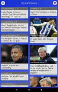 EFN - Unofficial Crystal Palace Football News screenshot 7