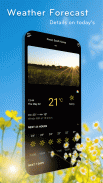 Weather screenshot 2