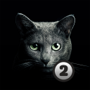 Find a cat 2 Icon