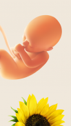 Kehamilan dan Bayi 🤰 Hamil. Kontraksi Timer screenshot 2
