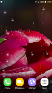 Tulips Live Wallpaper screenshot 8