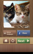 Yapboz Oyunları Kedi Oyunu screenshot 13
