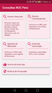 Consultas RUC Perú screenshot 0