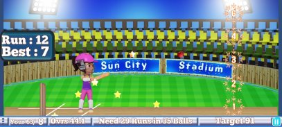 Rudra Cricket Game screenshot 2