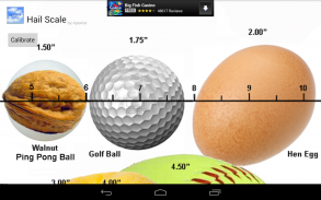 Hail Scale for Storm Spotters screenshot 5