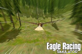 Eagle Racing Simulator: Birds Race Game screenshot 7
