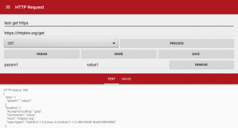HTTP request screenshot 7