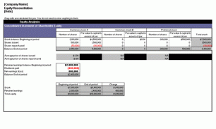 Income Statement Templates screenshot 13