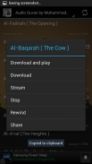 الصوت القرآن الكريم محمد أيوب screenshot 3
