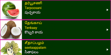 Learn Tamil From Telugu screenshot 3