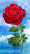 Summer Rain, Flowers, HD LWP screenshot 6