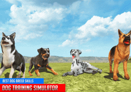 Dog Training: Dog Games screenshot 9