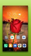 3D Rose Live Wallpaper screenshot 1