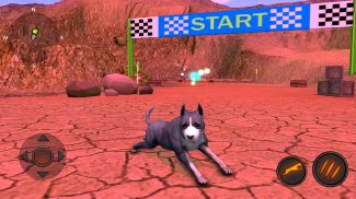AmStaffs Dog Simulator screenshot 13