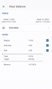 Timesheet screenshot 6