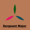 Sergeant Major