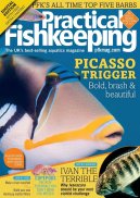 Practical Fishkeeping Magazine screenshot 1