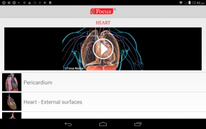 HEART - Digital Anatomy Atlas screenshot 0