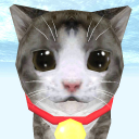 Cat Simulator Icon