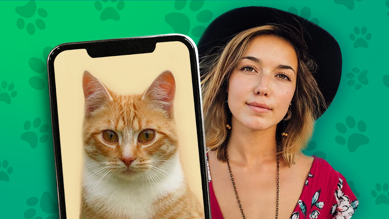 Какой ты кот? 😻😹 пранк - Загрузить APK для Android | Aptoide