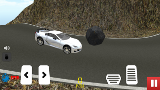 Rei Dos Carros Da Estrada screenshot 3