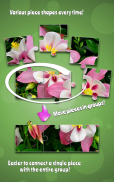 Çiçek Bilmecenin Yapboz Oyunu screenshot 6