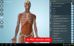 Anatomy 3D - Anatronica screenshot 6