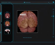 Atlas de Anatomia Radiológica screenshot 5
