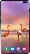 Flamingo Wallpaper HD screenshot 12