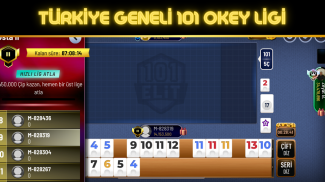 101 Yüzbir Okey Elit screenshot 2