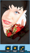 Strawberry Crop Photo screenshot 2