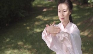 Tai Chi for Beginners 48 Form screenshot 6