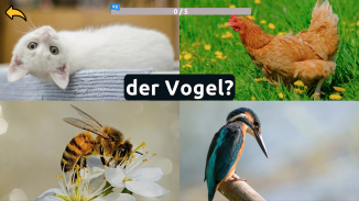 Learn Animals in German screenshot 6