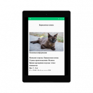 Всё про кошек и собак screenshot 12