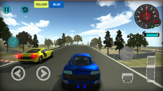 Car Simulator R8 screenshot 4