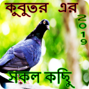 কবুতর সম্পর্কে সকল তথ্য and story Icon