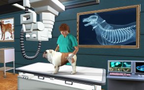 Pet Hastane Simülatörü 2019 - Pet Doktor Oyunları screenshot 8