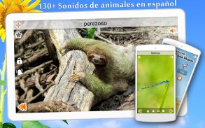 160+ Sonidos de animales screenshot 0