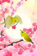 Plum-Blossom and White-Eye Tri screenshot 3