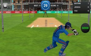 MS Dhoni:The Untold Story Game screenshot 2