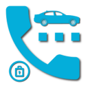 Pandora Dialer Icon