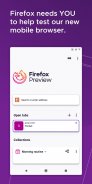 Firefox Nightly for Developers screenshot 1
