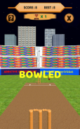 Bowled 3D - Cricket Game screenshot 12