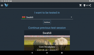 Swahili Language Tests screenshot 19