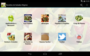 Recettes de salades régime screenshot 0