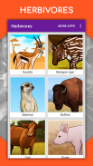 တိရိစ္ဆာန်များကိုဆွဲပုံ။ ပုံဆွဲသင်ခန်းစာများ screenshot 9