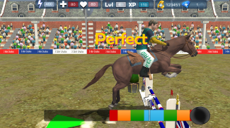 Horse Racing World Jumping 3D screenshot 8